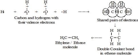 Carbon and its Compounds Class 10 Notes Science Chapter 4